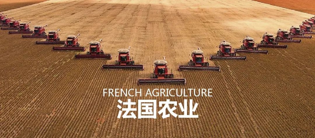 法国农业：欧盟农业大国，靠这6大战略制胜市场